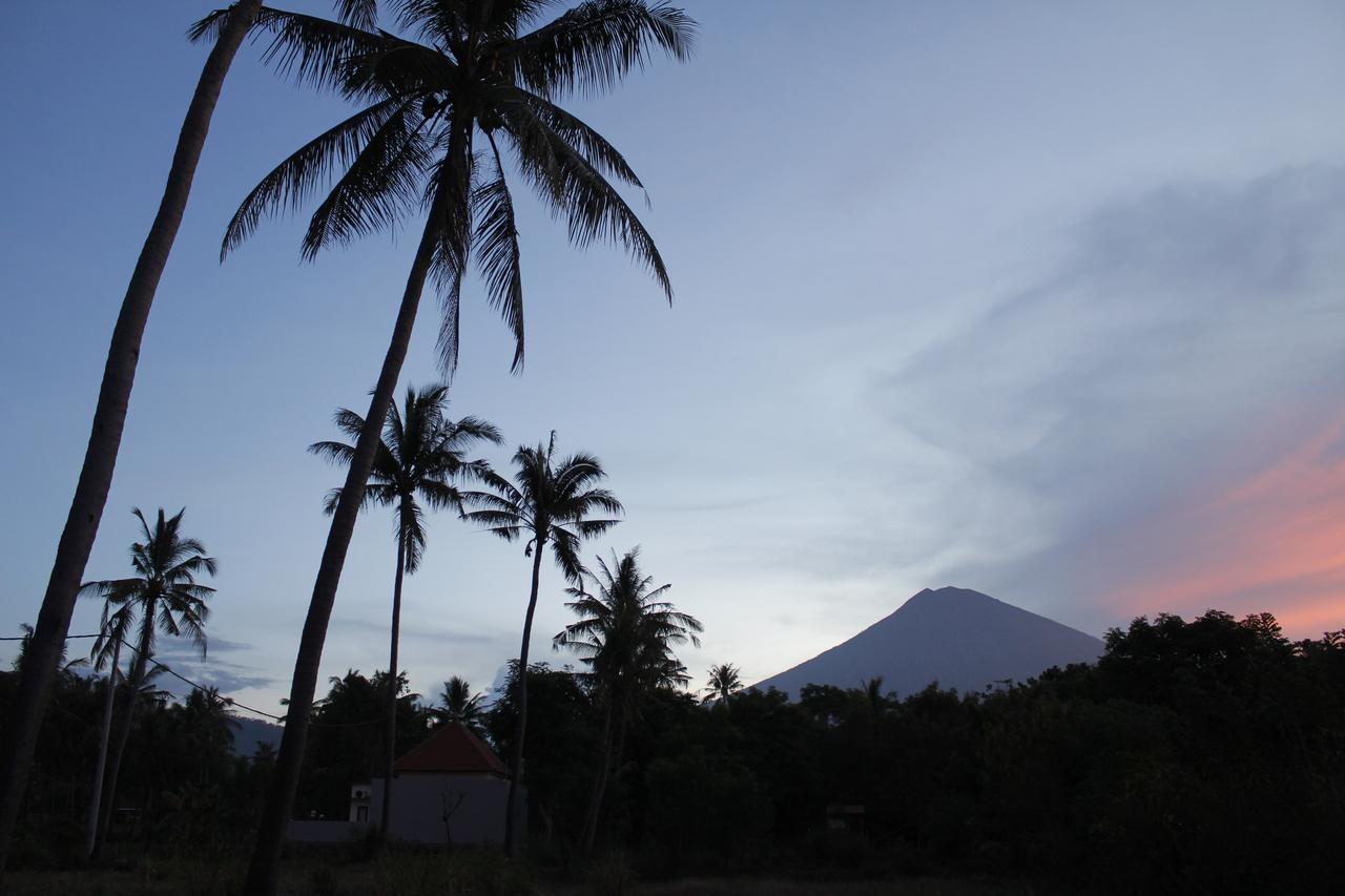 Bunga Laut Bungalow Amed  Luaran gambar